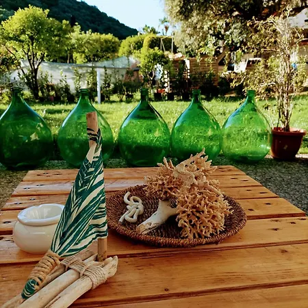 Bed and breakfast Laris Castellabate